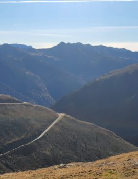 WhatsApp Image 2025-02-01 at 16.29.01 (3)