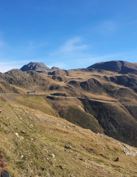 WhatsApp Image 2025-02-01 at 16.29.02