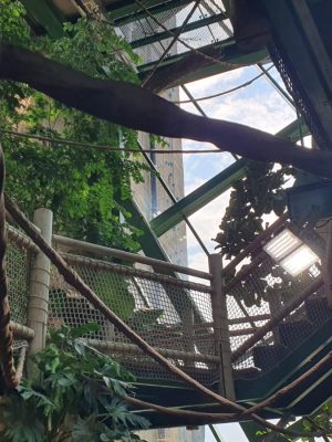 WhatsApp Image 2025-02-01 at 17.46.09 (4)