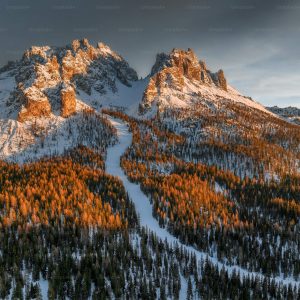 premium_photo-1672762542894-caaa